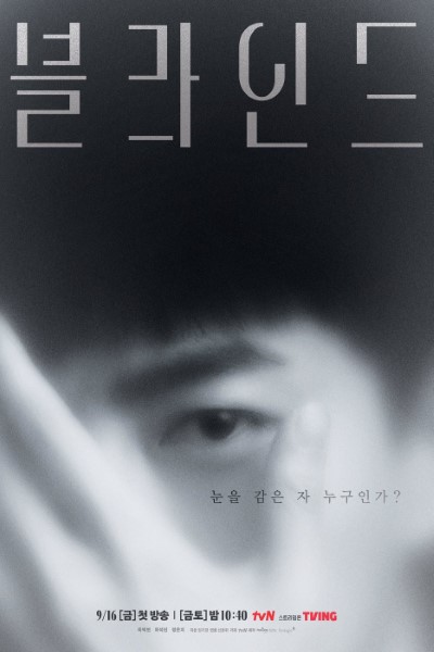 Blind (Season 1) Korean Web Series 720p | 1080p WEB-DL Esub