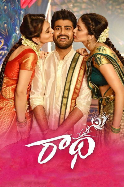 Radha (2017) Dual Audio [Hindi-Telugu] Movie 480p | 720p | 1080p BluRay ESub