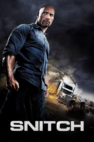 Snitch (2013) Dual Audio [Hindi-English] Movie 480p | 720p | 1080p BluRay ESub