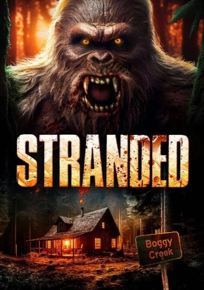 Stranded (2023) Dual Audio [Hindi-English] Movie 480p | 720p | 1080p WEB-DL ESub