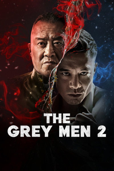 The Grey Men 2 (2025) Dual Audio [Hindi-Chinese] Movie 480p | 720p | 1080p WEB-DL ESub