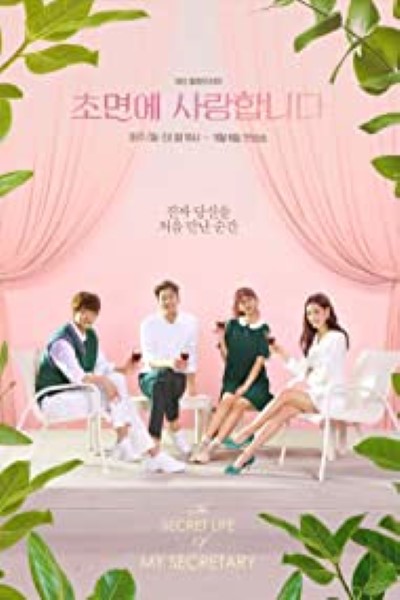 The Secret Life of My Secretary (Season 1) Hindi Web Series 720p | 1080p WEB-DL Esub